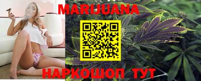 мдпв Пугачёв