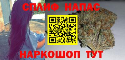 мдпв Пугачёв
