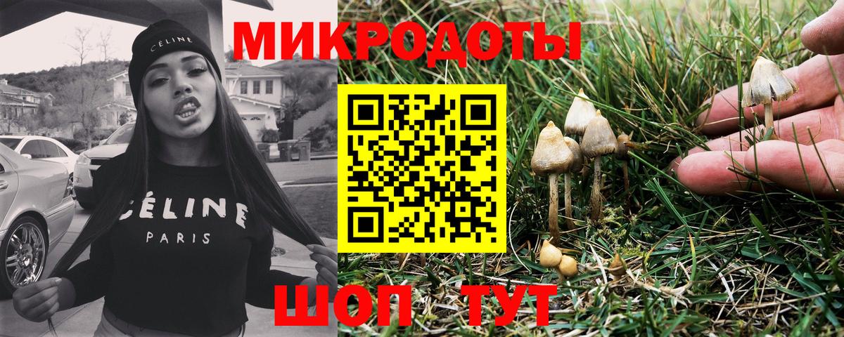 Галлюциногенные грибы мухоморы Пенза